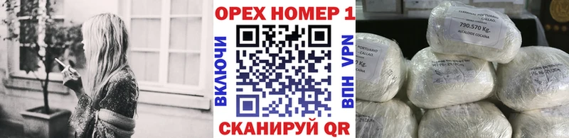 закладка  Выборг  COCAIN 99% 