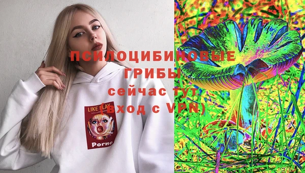 тгк Протвино