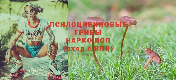 не бодяженный Приозерск